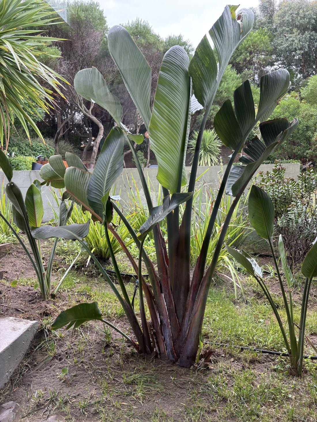 Zona de juegos y jardín — Horizonte 56, Monte Hermoso — foto 3